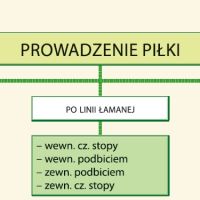(fot. magazyn