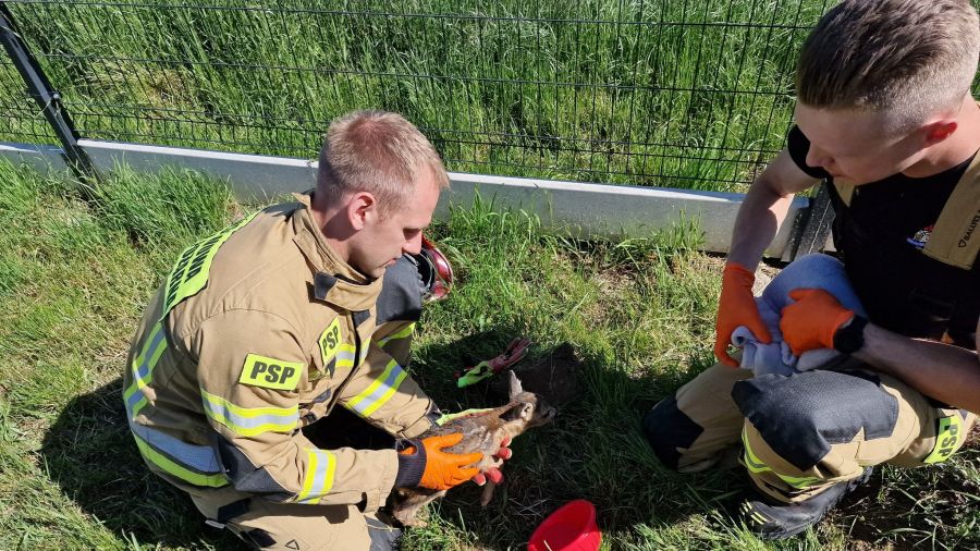 (fot. KPP SP w Oleśnicy)