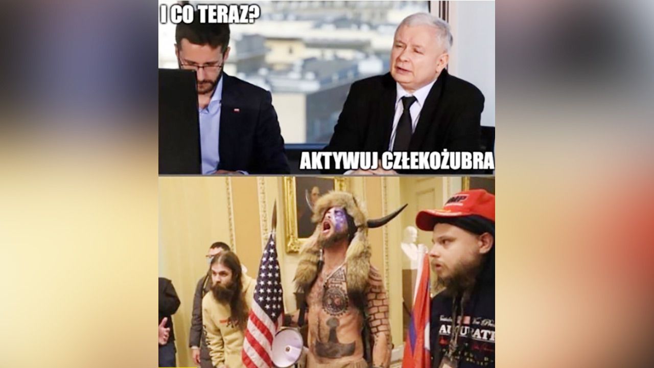 Memy | TVP INFO