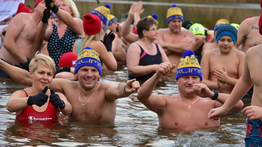 Stado morsów w Gnieźnie. Rekord został pobity (fot. gniezno24.com)
