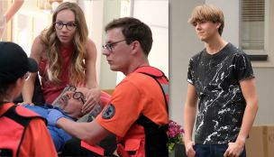 Kłamstwa i szerszenie