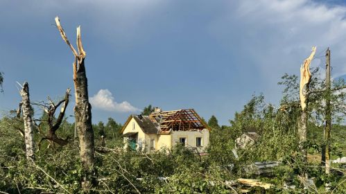 Паваленыя дрэвы і знесеныя дахі будынкаў у вёсцы Вархі, Гарадоцкага раёну, пасля смерчу. Віцебская вобласць, Беларусь. 9 ліпеня 2025 года. Фота: meteovibe / Telegram