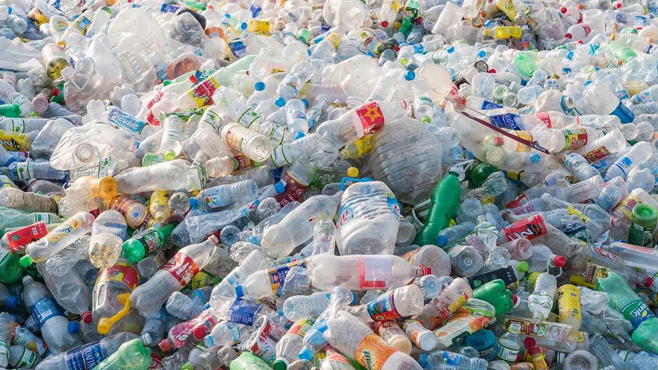 Badacze pracują nad wprowadzeniem metody na rynek (fot. Shutterstock/Trong Nguyen) Badacze pracują nad wprowadzeniem metody na rynek (fot. Shutterstock/Trong Nguyen)