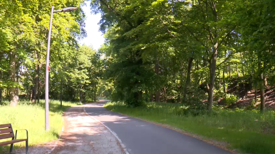 (fot. TVP3 Wrocław)