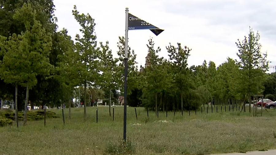 Wandalizm na skwerze im. Obrońców Ukrainy, Ukraińcy w Poznaniu (fot. TVP3 Poznań)