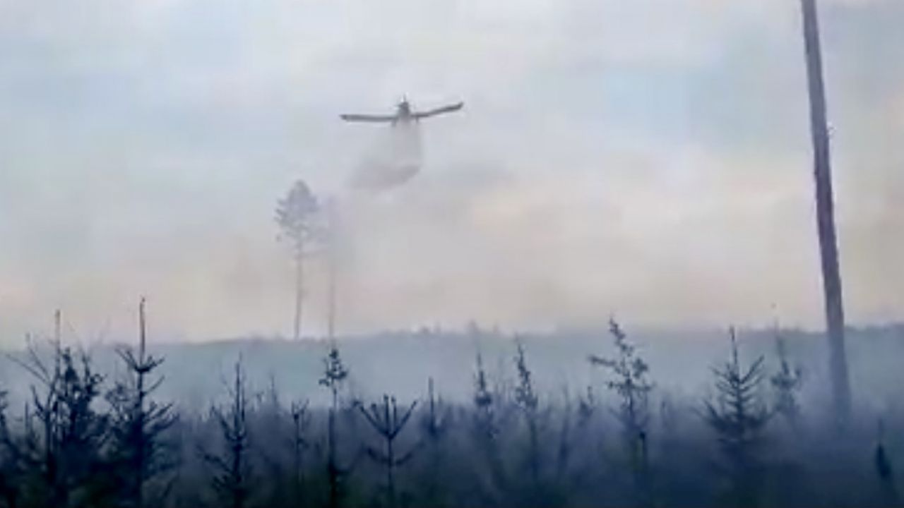 Z ogniem walczyło m.in. 10 zastępów straży pożarnej (fot. FB/Nadleśnictwo Włodawa, LP) Z ogniem walczyło m.in. 10 zastępów straży pożarnej (fot. FB/Nadleśnictwo Włodawa, LP)