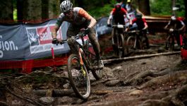 Kolarstwo MTB – mistrzostwa Europy, Melgaco – wyścig Elity mężczyzn. Transmisja online na żywo w TVP Sport (27.07.2025)