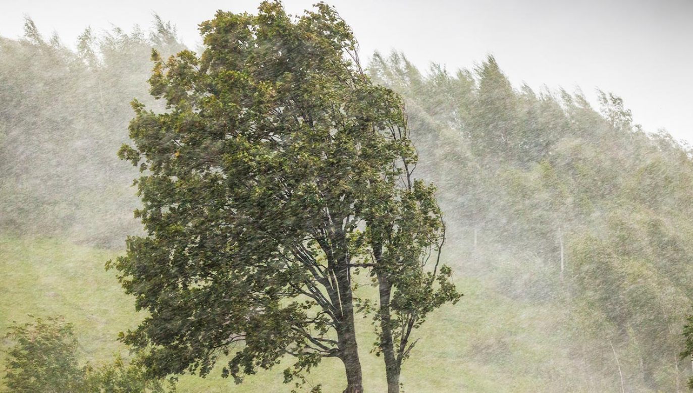 W sobotę pogoda zacznie się stabilizować (fot. Shutterstock)