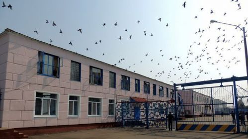 Penal colony No 2 in Bobruisk. The picture is illustrative. Photo: komkur.info
