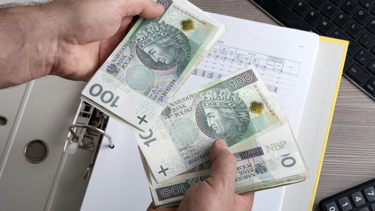 Krajowa Administracja Skarbowa podała dane (fot. Shutterstock/Pawel_Brzozowski) Krajowa Administracja Skarbowa podała dane (fot. Shutterstock/Pawel_Brzozowski)