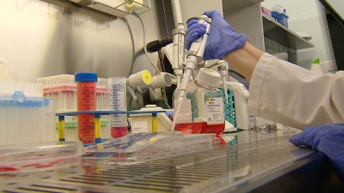 The new therapy could potentially restore mobility to millions.  Photo: TVP