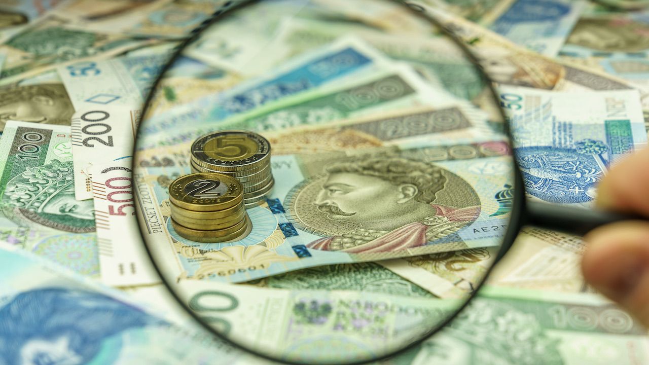 NBP podało ile wynosiły aktywa rezerwowe na koniec sierpnia (fot. Shutterstock/ Orso) NBP podało ile wynosiły aktywa rezerwowe na koniec sierpnia (fot. Shutterstock/ Orso)