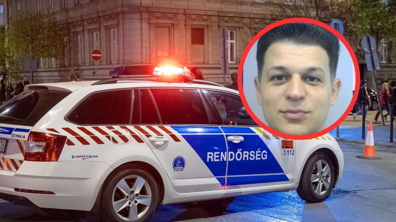 Former Orbán ally arrested at Budapest airport