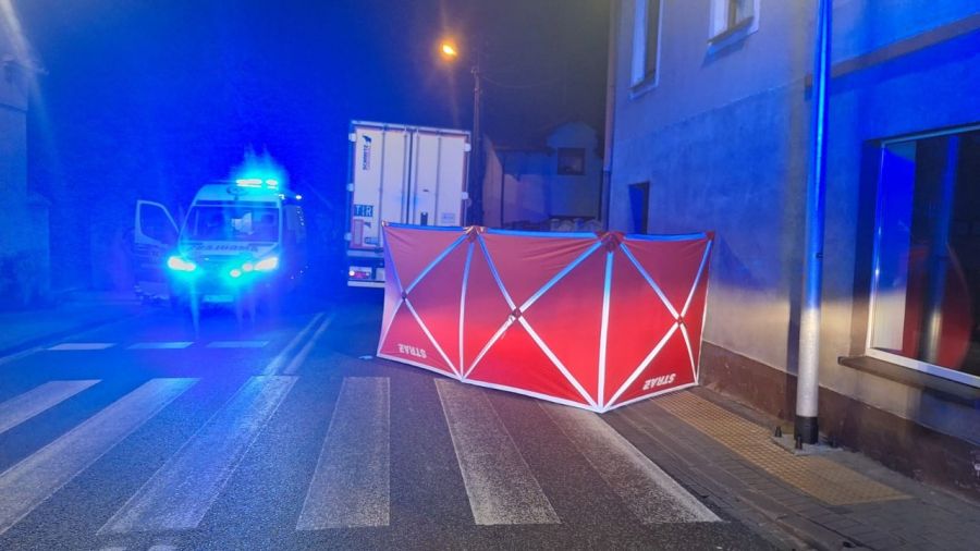 Rostarzewo: śmiertelny wypadek na DW32, nie żyje 58-latek (fot. KP PSP Grodzisk)