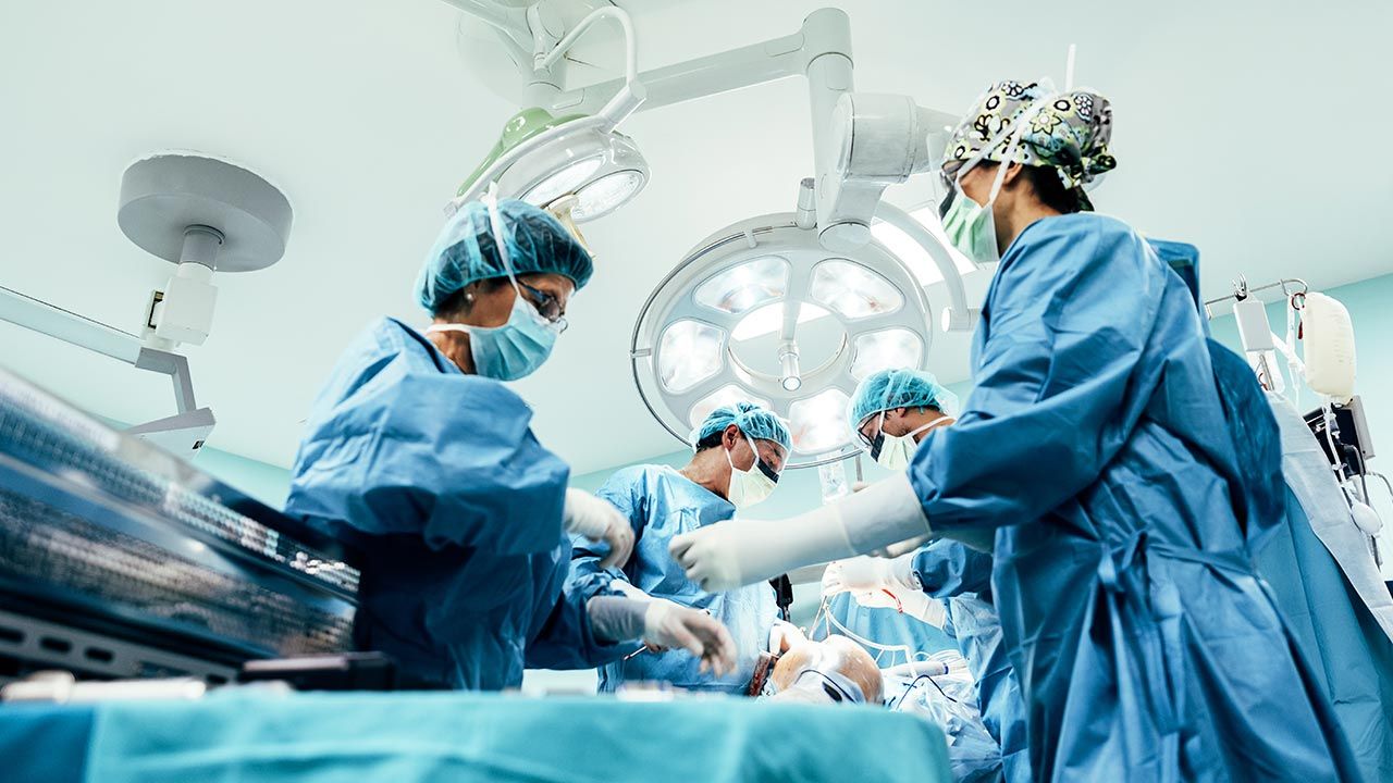 Nerka przeszczepiona od świni (fot. Shutterstock/santypan) Nerka przeszczepiona od świni (fot. Shutterstock/santypan)