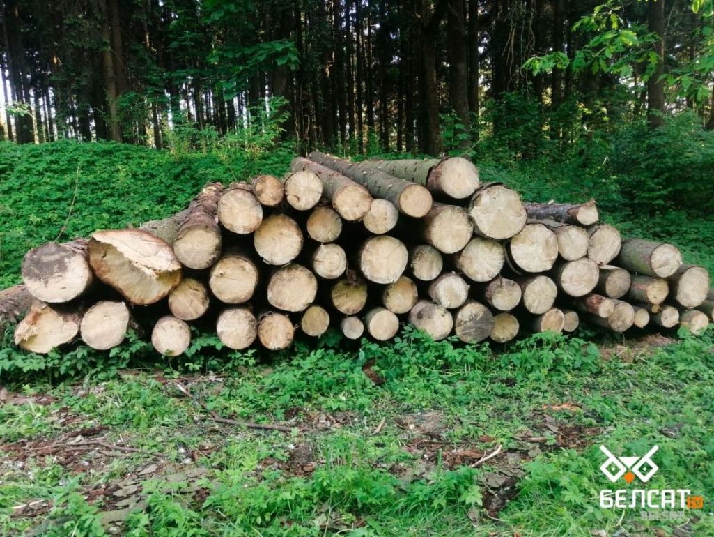 Здымак мае ілюстрацыйны характар. Фота: Белсат