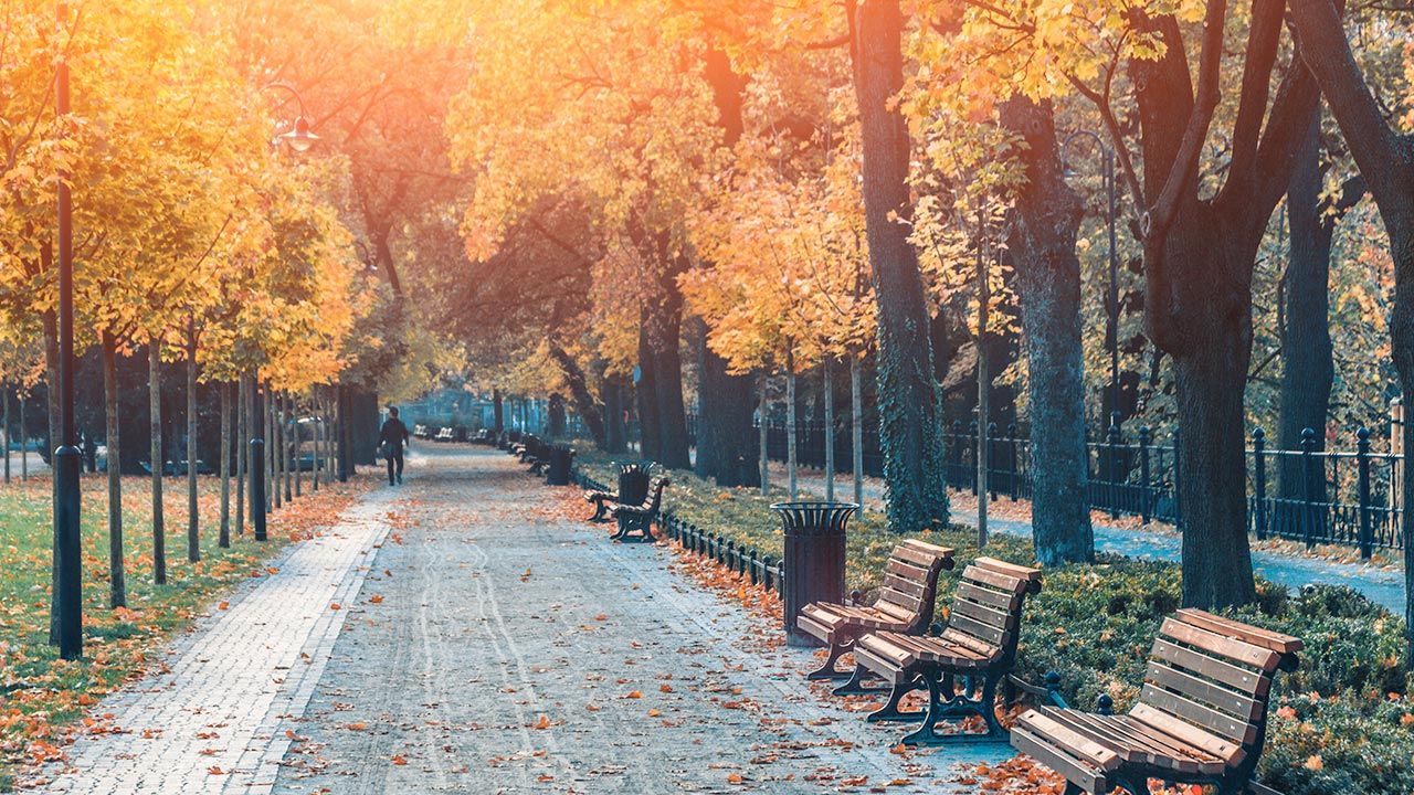 W środę rano Polskę opuści strefa opadów (fot. Shutterstock) W środę rano Polskę opuści strefa opadów (fot. Shutterstock)