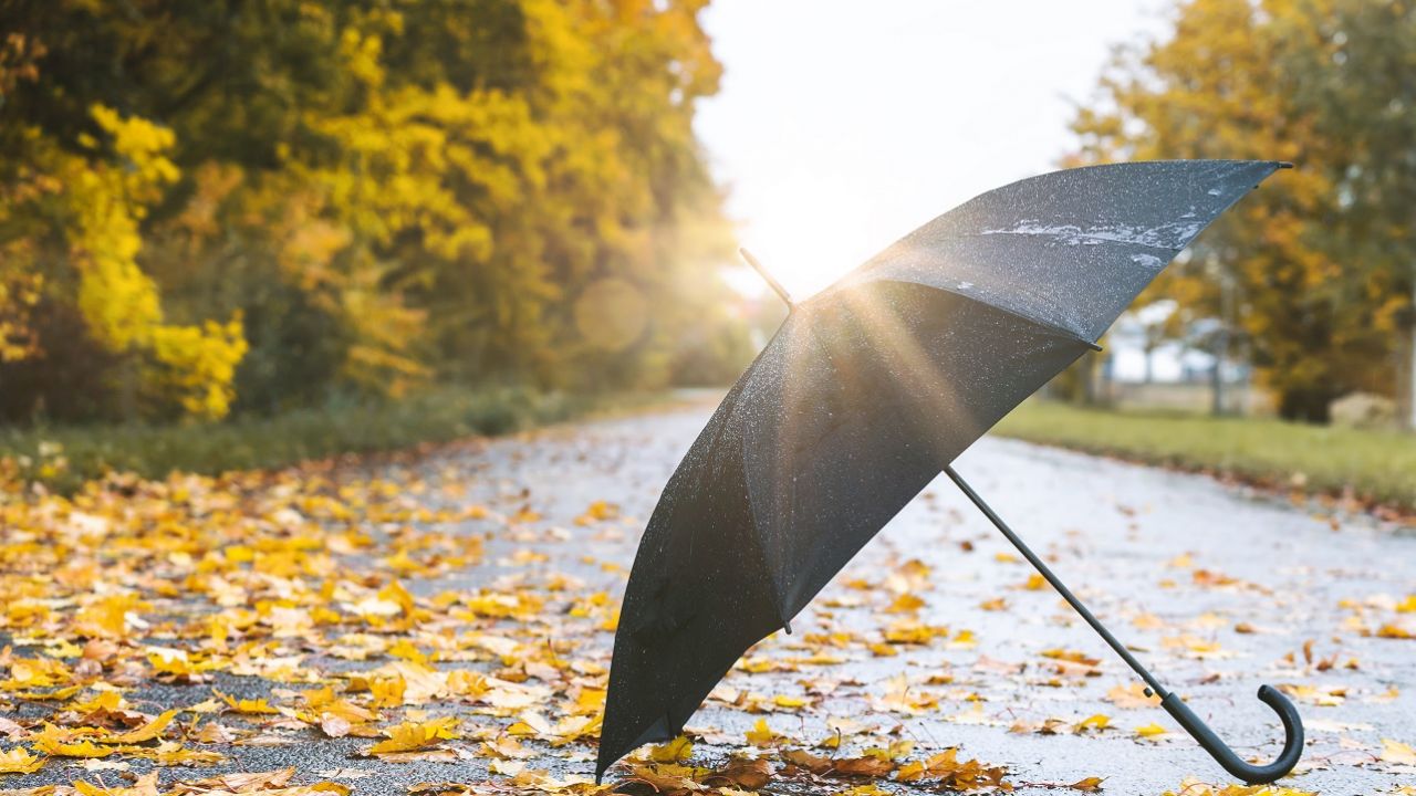 W wielu miejscach Polski zza chmur wyjrzy słońce (fot. Shutterstock) W wielu miejscach Polski zza chmur wyjrzy słońce (fot. Shutterstock)