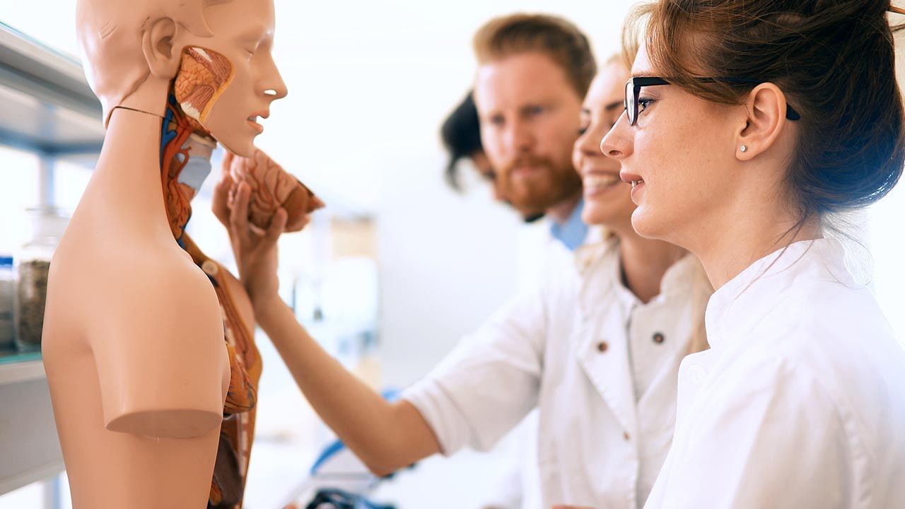 Program pozwoli na stworzenie symulacji pacjenta z dowolną chorobą (fot. Shutterstock/NDAB Creativity) Program pozwoli na stworzenie symulacji pacjenta z dowolną chorobą (fot. Shutterstock/NDAB Creativity)