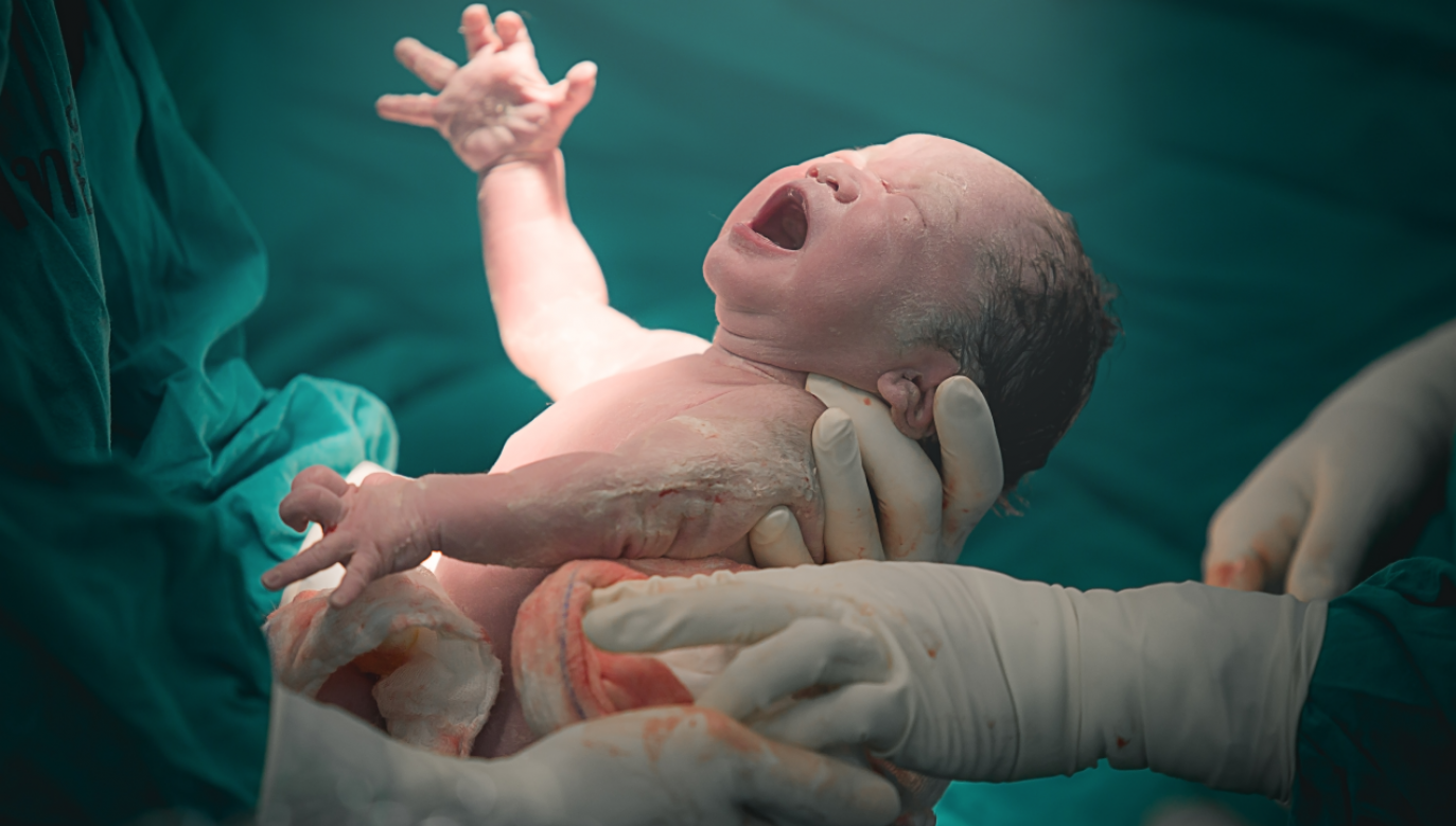 Czy Sztuczna Inteligencja „wyhoduje” człowieka w sztucznej macicy? (fot. Shutterstock)