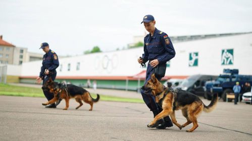 Выступ кінолагаў перад студэнтамі БНТУ