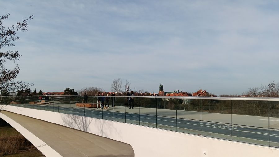 Poznań, mosty Berdychowskie, interpelacja, ptaki, szklane pułapki (fot. poznan.pl)