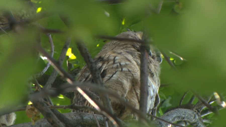 (fot. TVP3 Wrocław)