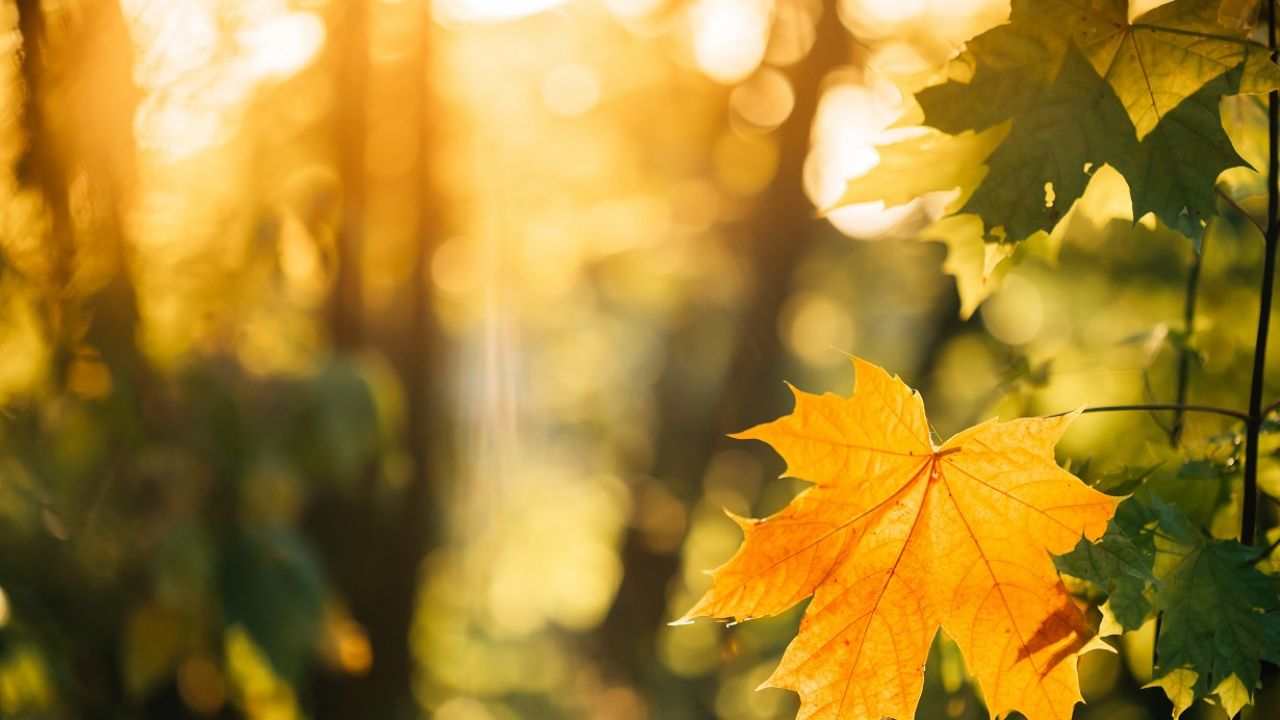W piątek jeszcze słonecznie i niewiele chmur (fot. Shutterstock) W piątek jeszcze słonecznie i niewiele chmur (fot. Shutterstock)