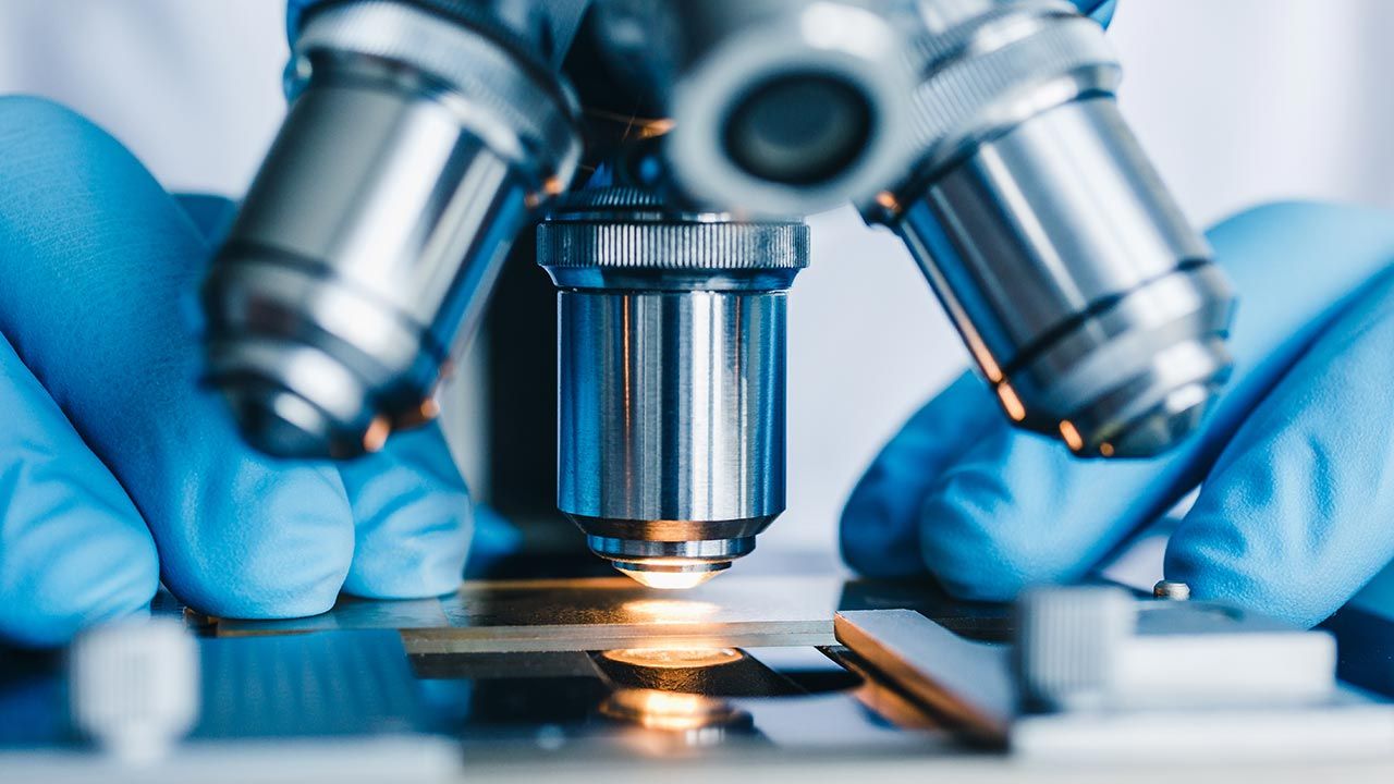 Nowe odkrycia pomagają rzucić światło na proces zwany intrawazacją (fot. Shutterstock/Konstantin Kolosov) Nowe odkrycia pomagają rzucić światło na proces zwany intrawazacją (fot. Shutterstock/Konstantin Kolosov)