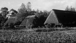 Folklor, zwyczaje i sztuka ludowa Opolski jarmark