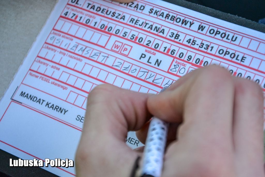 Akcja policji "Bezpieczna majówka 2025" (fot. Policja)