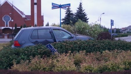 Stracił panowanie nad pojazdem. „Zaparkował” wśród  ozdobnych krzewów (fot. Policja Lubelska)