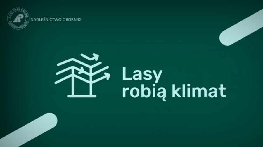 Lasy robią klimat