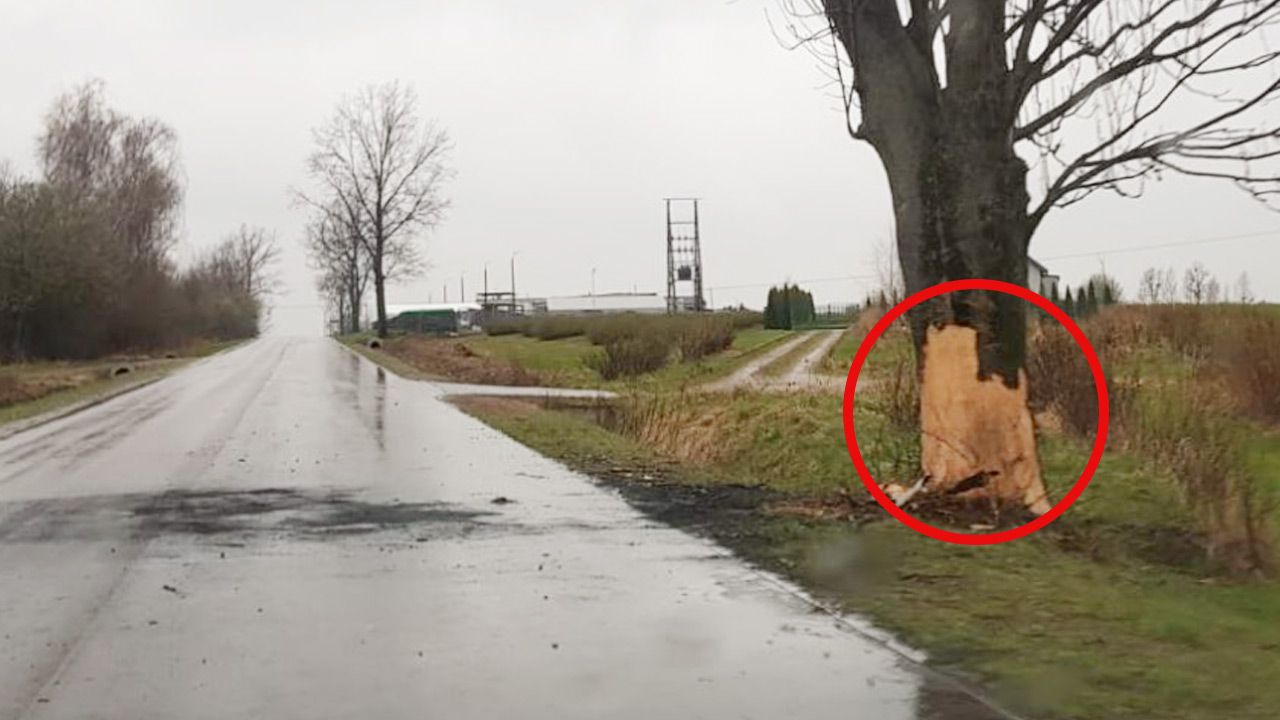 Ciało zabezpieczono do sekcji (fot. Policja) Ciało zabezpieczono do sekcji (fot. Policja)