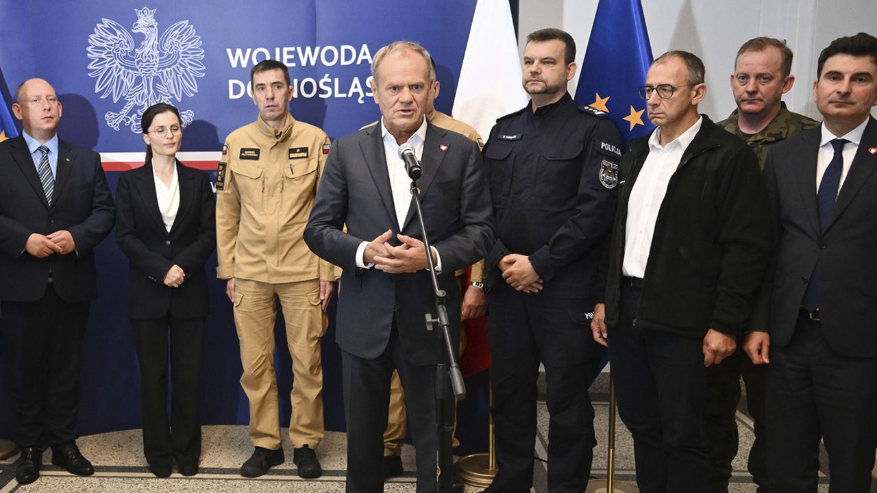 www.tvp.info