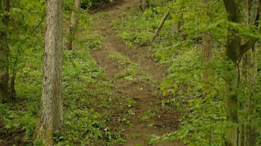 Policja szuka sprawców, którzy rozjechali wykopaliska archeologiczne 