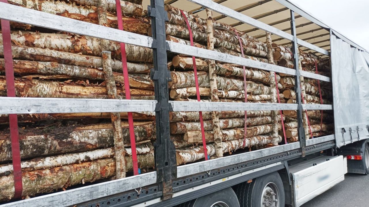 Niewłaściwy transport drewna z Litwy (fot. GITD)