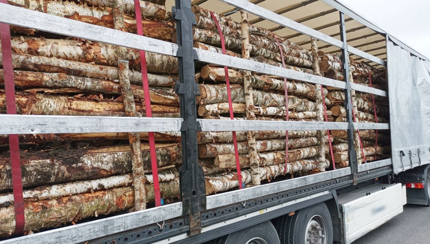 Niewłaściwy transport drewna z Litwy (fot. GITD)