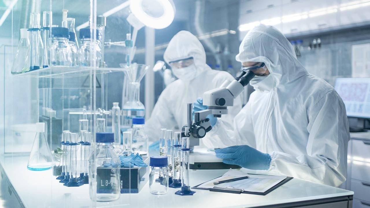Odmiana AY.4.2 została po raz pierwszy zidentyfikowana w lipcu (fot. Shutterstock) Odmiana AY.4.2 została po raz pierwszy zidentyfikowana w lipcu (fot. Shutterstock)