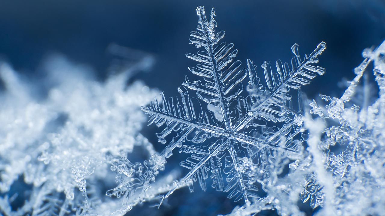 Pod pewną postacią plastik w śniegu można znaleźć (fot. Shutterstock/Mariia Tagirova)