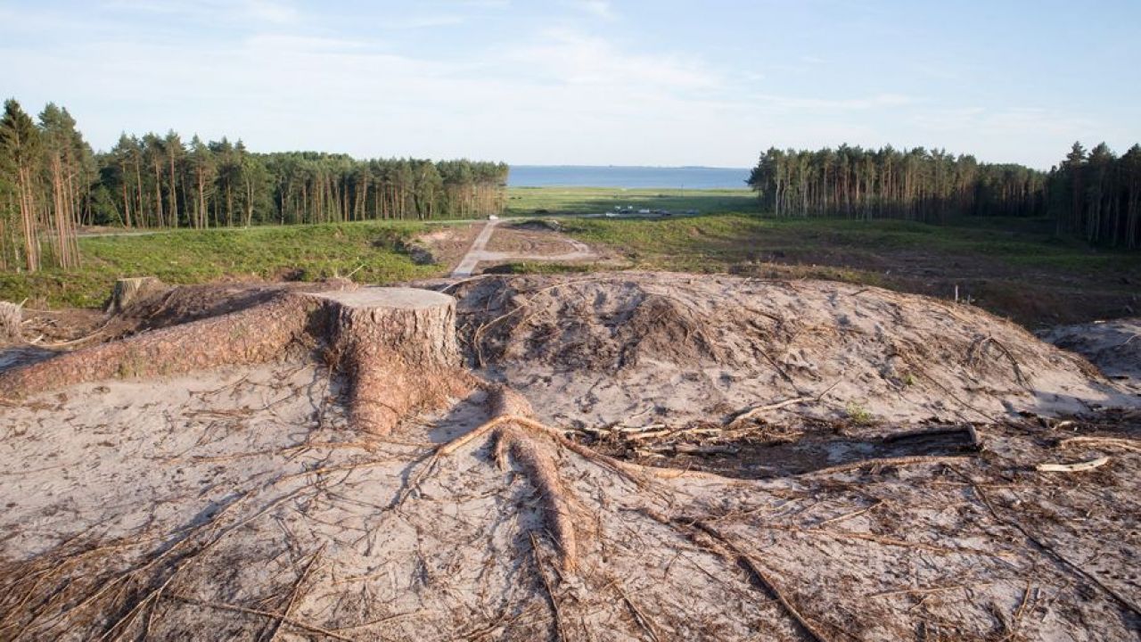 Moskwa stara się zablokować inwestycję groźną dla jej interesów (fot. Shutterstock/Evan Lorne) Moskwa stara się zablokować inwestycję groźną dla jej interesów (fot. Shutterstock/Evan Lorne)