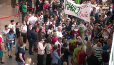 Powitanie Anity Włodarczyk na lotnisku w Warszawie (fot. TVP)
